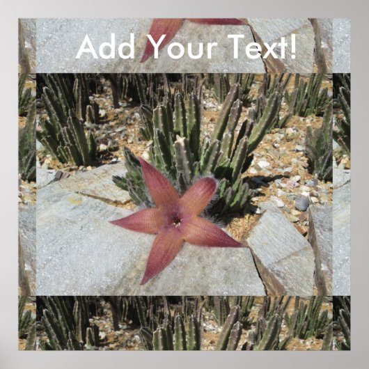 Giant Starfish Cactus Poster (Voorkant)