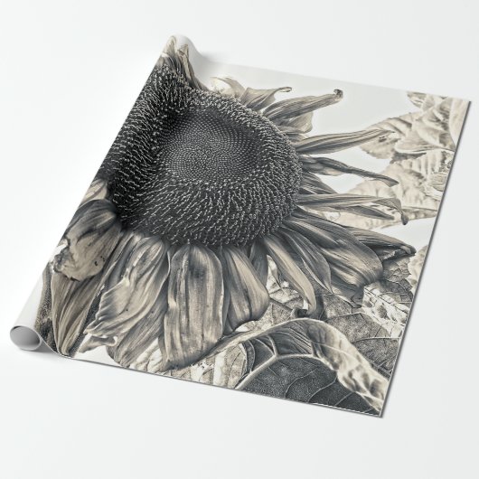 Giant Sunflower Antiek Sepia Art Cadeaupapier (Uitgerold)