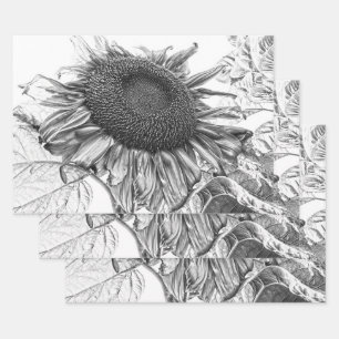 Giant Sunflower Black and White Art Inpakpapier Vel