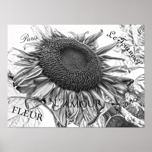 Giant Sunflower Black and White Script Poster (Voorkant)