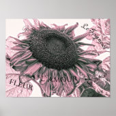 Giant Sunflower Blush Pink Script Art Poster (Voorkant)