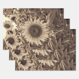 Giant Sunflower Field  Sepia Decoupage Inpakpapier Vel