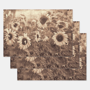 Giant Sunflower Floral Sepia Texture Decoupage Inpakpapier Vel