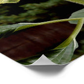 Giant Sunflower, gele bloem Poster (Hoek)