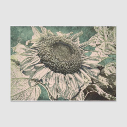 Giant Sunflower  Green Beige Decoupage Tissuepapier (Voorkant)