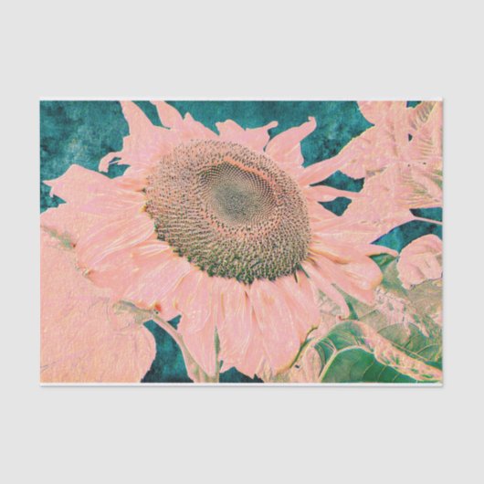 Giant Sunflower  Roze Green Art-ontkoppeling Tissuepapier (Voorkant)
