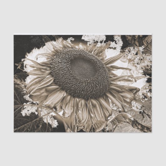 Giant Sunflower Rustic Sepia Tone  Tissuepapier (Voorkant)