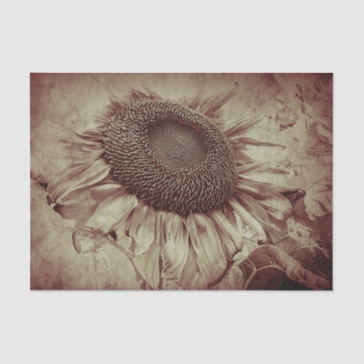 Giant Sunflower Sepia Brown  Antiek Tissuepapier (Voorkant)