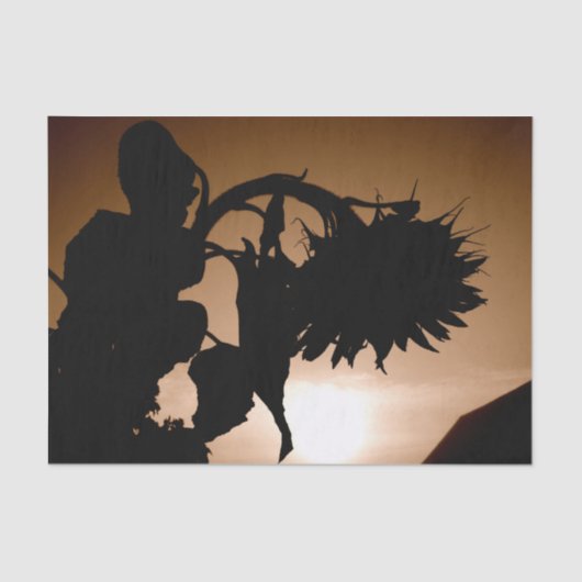 Giant Sunflower Sepia Brown ontkoppeling Tissuepapier (Voorkant)