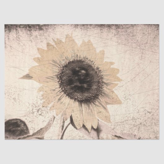 Giant  Sunflower Sepia Brown Yellow Texture Tissuepapier (Voorkant)