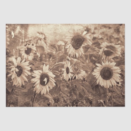 Giant Sunflower Sepia Floral Texture Decoupage Tissuepapier (Voorkant)