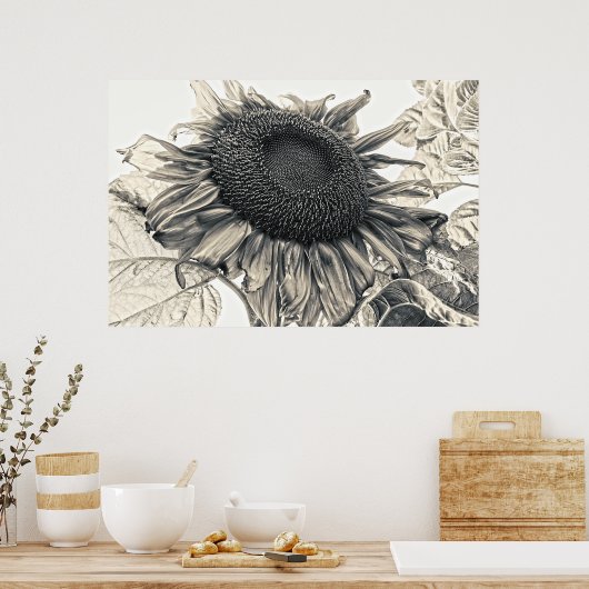 Giant Sunflower Sepia Summer Floral Poster (Keuken)