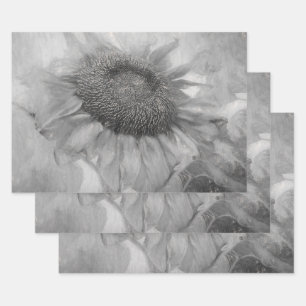 Giant Sunflower  Style Black en White Art Inpakpapier Vel