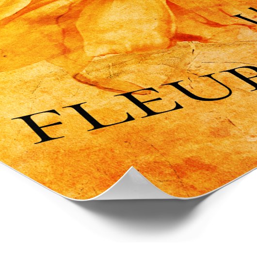 Giant Sunflower Yellow Grunge  Script Poster (Hoek)