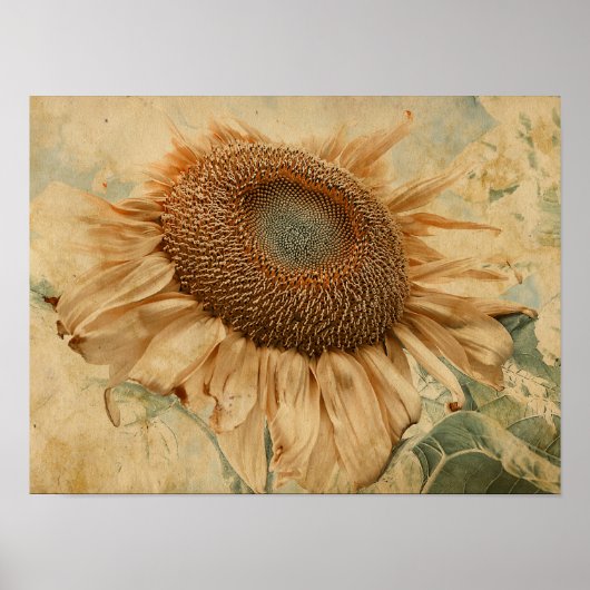Giant Sunflower Yellow Old  Decoupage Art Poster (Voorkant)