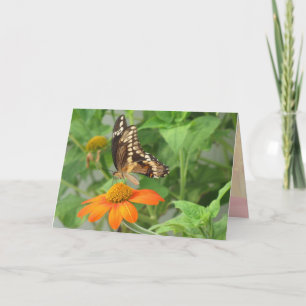 Giant Swallowtail Butterfly Kaart