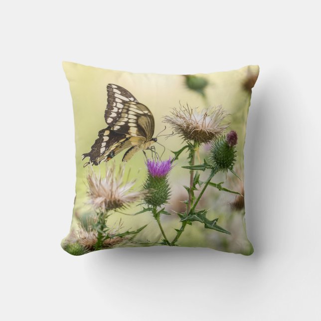 Giant Swallowtail Butterfly Kussen (Voorkant)