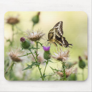 Giant Swallowtail Butterfly Muismat
