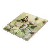 Giant Swallowtail Butterfly Tegeltje (Zijkant)