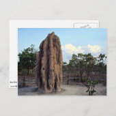 Giant termite mound, Northern Territory, Australië Briefkaart (Voorkant / Achterkant)