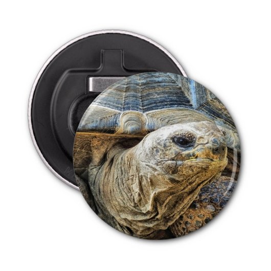 GIANT TORTOISE BUTTON FLESOPENER (Voorkant)