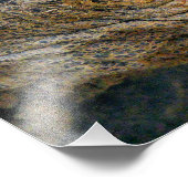 GIANT TORTOISE FOTO AFDRUK (Hoek)