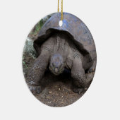 Giant tortoise Galapagos Keramisch Ornament (Rechts)