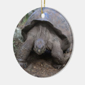 Giant tortoise Galapagos Keramisch Ornament (Links)