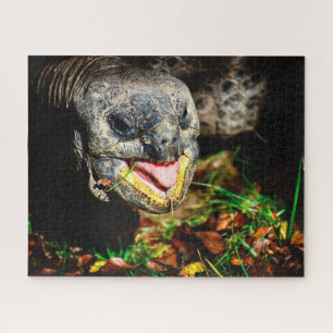 Giant Tortoise, Jigzaag Puzzle Legpuzzel
