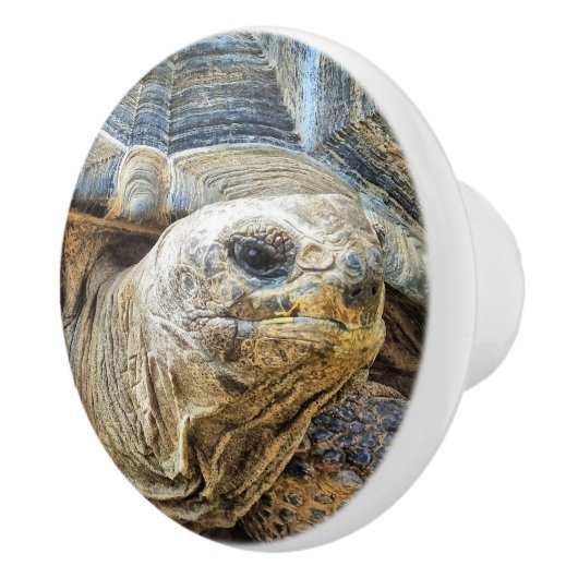 GIANT TORTOISE KERAMISCHE KNOP (Rechts)