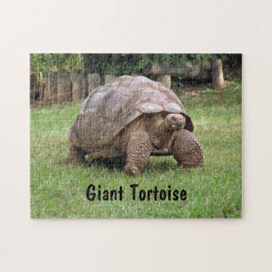 Giant Tortoise Legpuzzel