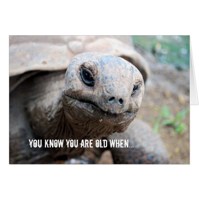 Giant Tortoise Memory Lapse (Voorkant Horizontaal)