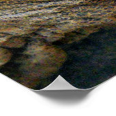 GIANT TORTOISE POSTER (Hoek)