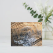 GIANT TORTOISE SHELL BRIEFKAART (Staand voorkant)