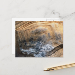 GIANT TORTOISE SHELL BRIEFKAART