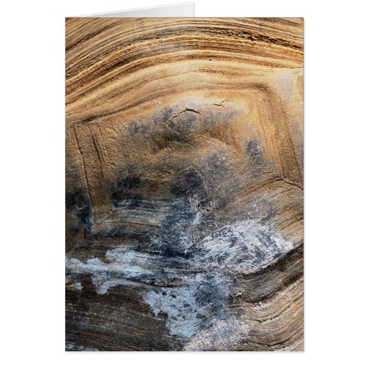 GIANT TORTOISE SHELL KAART (Voorkant)