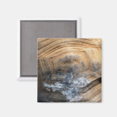 GIANT TORTOISE SHELL MAGNEET (Voorkant / Achterkant)