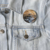 GIANT TORTOISE SHELL RONDE BUTTON 5,7 CM (In situ)