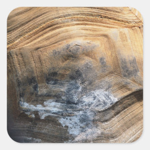 GIANT TORTOISE SHELL VIERKANTE STICKER