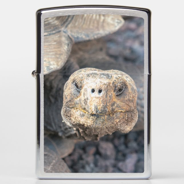 Giant Tortoise Zippo Lighter (Voorkant)