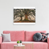 Giant Trees Canvas afdrukken (Insitu (Woonkamer))