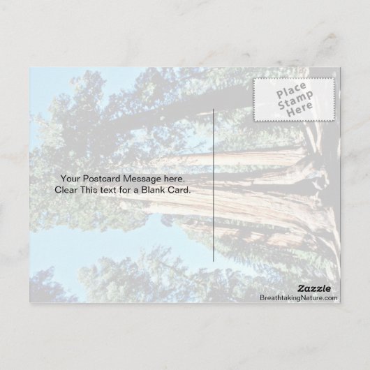 Giant Trees - Nationaal bos Sequoia Briefkaart (Achterkant)