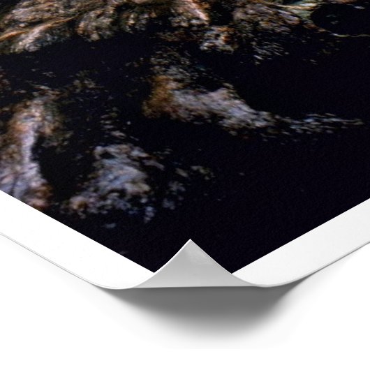 Giant Trees - Nationaal Park Sequoia Poster (Hoek)