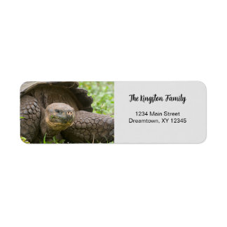 Giant Turtle foto, aangepast terugkeeradres Etiket