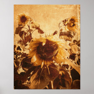Giant Vintage Sunflowers Sepia Decoupage Art Poster