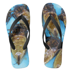 Giant Water Bug (Maeng Daa) ... Aziatische levensm Teenslippers