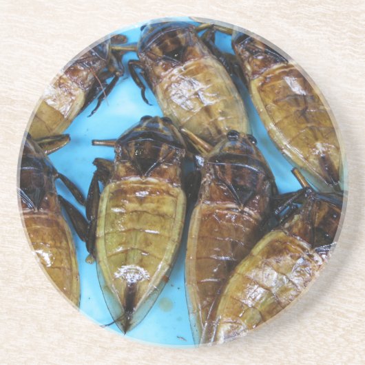 Giant Water Bug (Maeng Daa) ... Aziatische levensm Zandsteen Onderzetter (Voorkant)