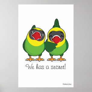 Giant: "We hebben een geheim!" Poster van vogels