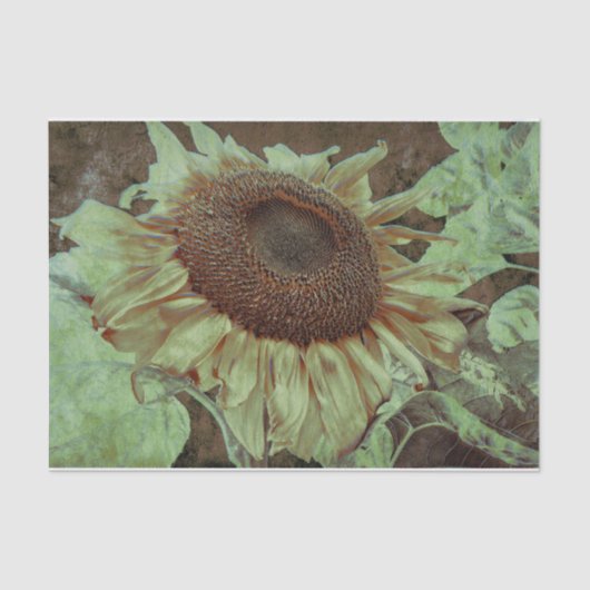 Giant Yellow Sunflower Brown Texture Decoupage Tissuepapier (Voorkant)