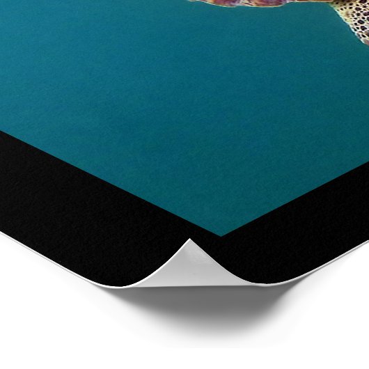 Giant Zee Turtle Poster (Hoek)